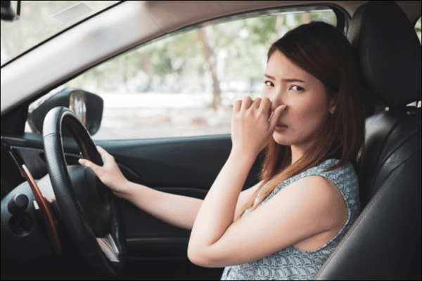 Car interior Smelling
