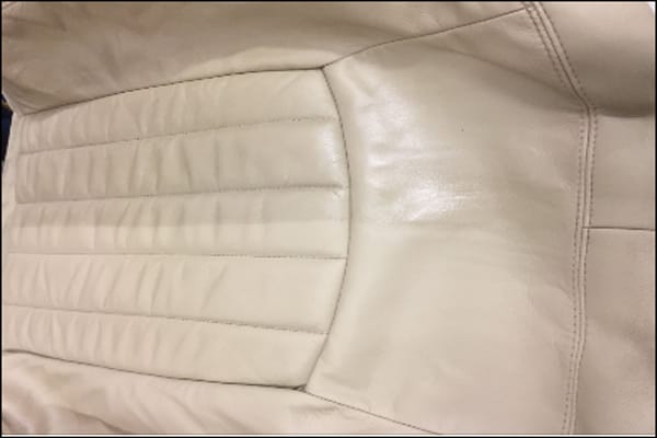 Leather Cleaning & Protection